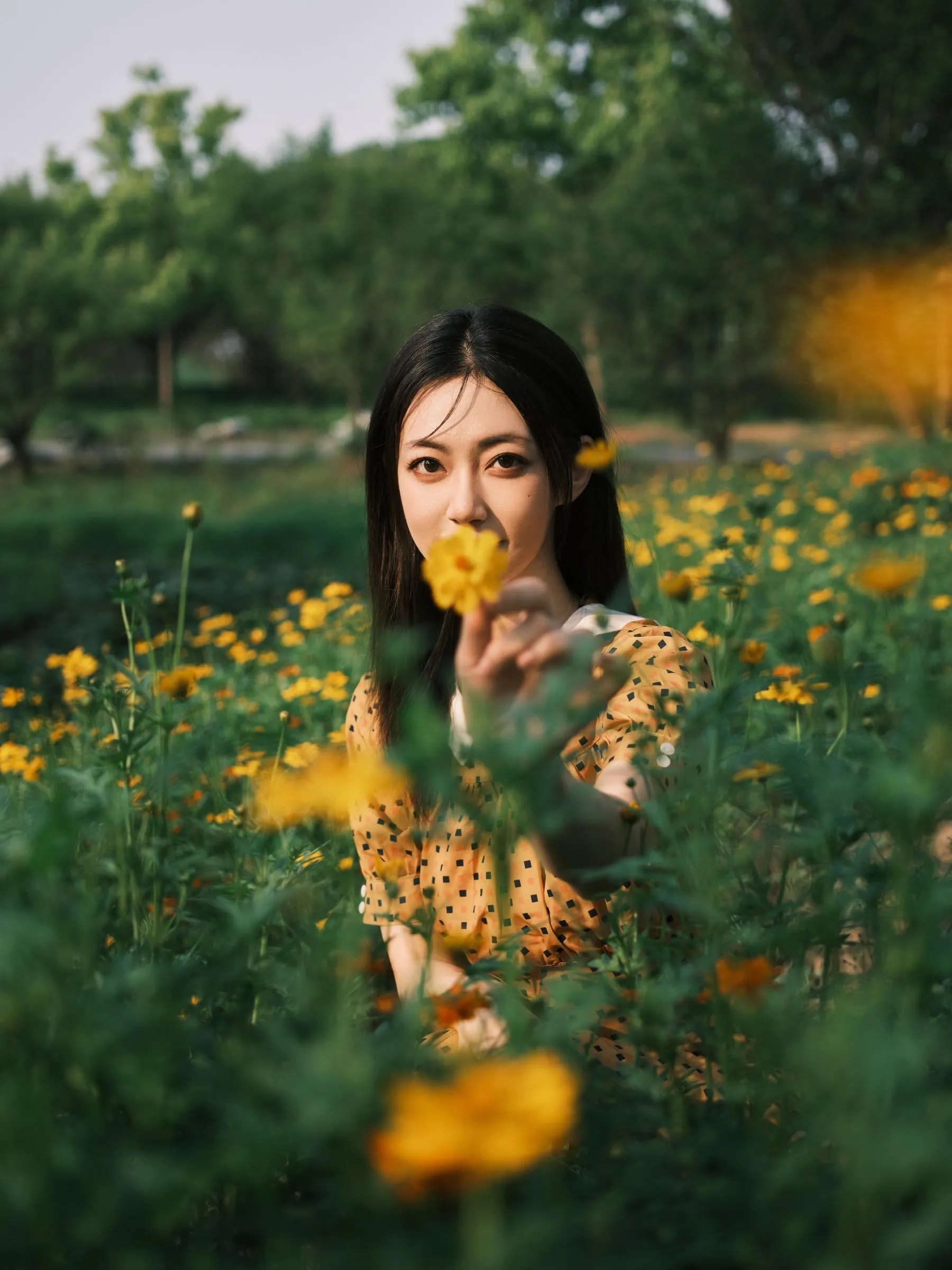 [YITUYU艺图语]2022.08.08 硫华菊柳叶马鞭草-是夏天的味道呀！ 飞鸟咕咕- [44P]插图4
